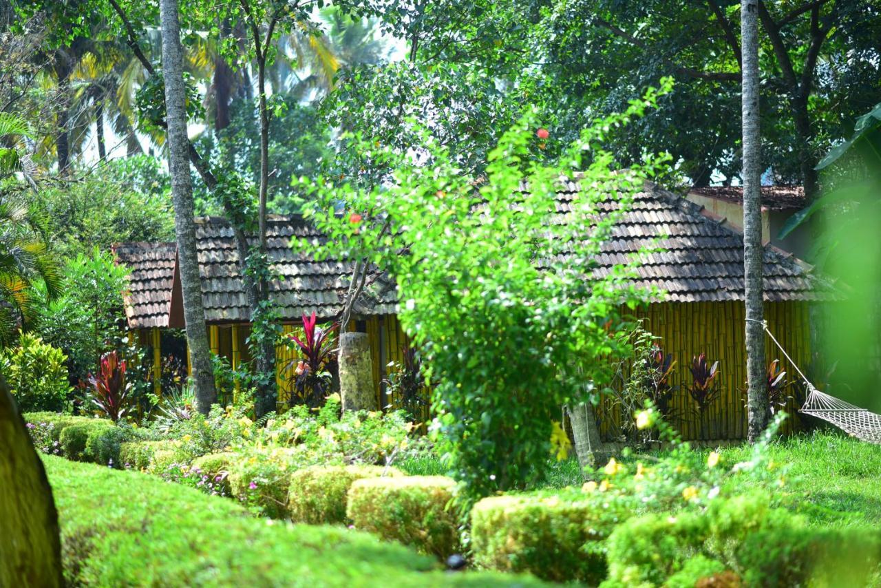 Savithri Inn Cottage バルカラ エクステリア 写真