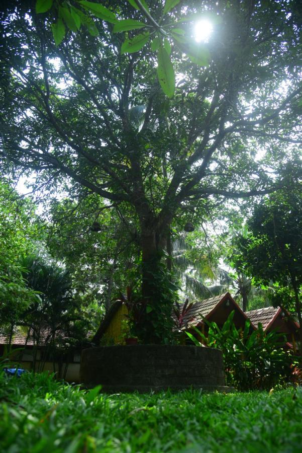 Savithri Inn Cottage バルカラ エクステリア 写真