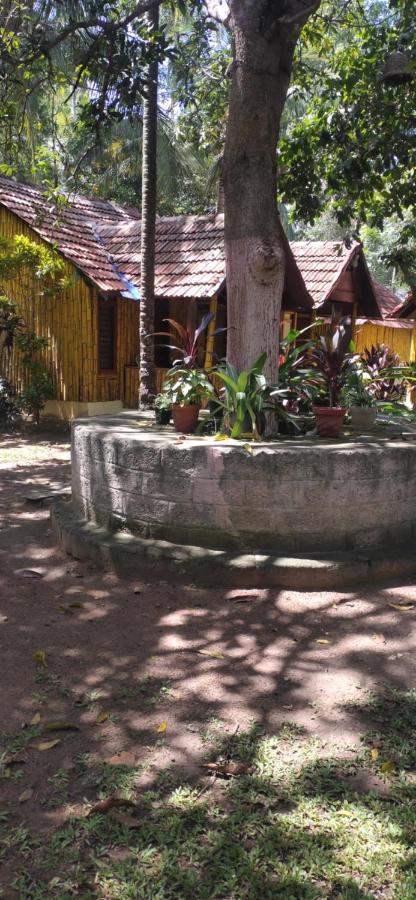 Savithri Inn Cottage バルカラ エクステリア 写真