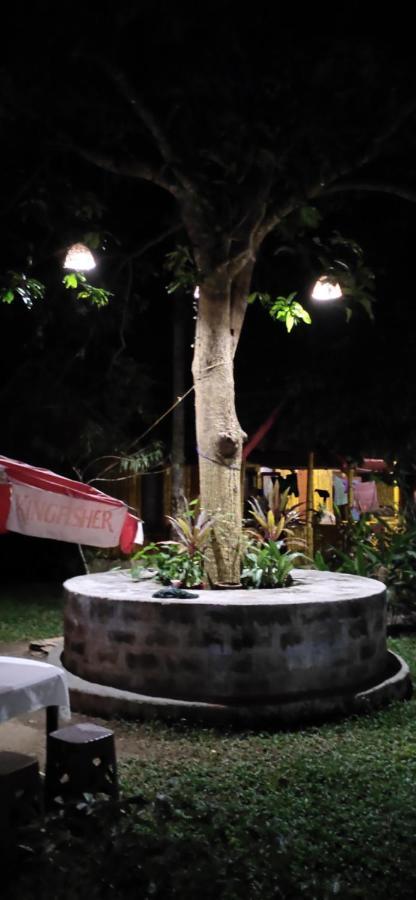Savithri Inn Cottage バルカラ エクステリア 写真