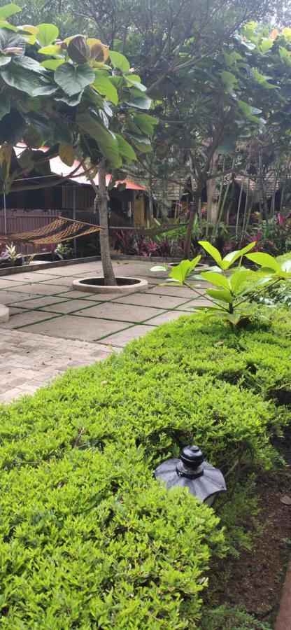 Savithri Inn Cottage バルカラ エクステリア 写真